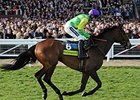Kauto Star