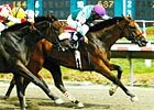 Filly Runs for a Little Girl Who Can't Filly Runs for a Little Girl Who Can't