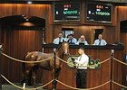 Hip 681 was the Day 3 session topper.