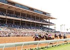 New Del Mar Surface 'Coming Together' New Del Mar Surface 'Coming Together'