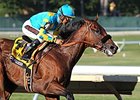 American Pharoah