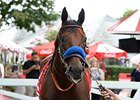 American Pharoah