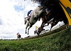 <br><a target="blank" href="http://photos.bloodhorse.com/AtTheRaces-1/At-the-Races-2015/i-7LcxQ8F">Order This Photo</a>
