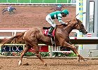 Stellar Wind Dominant in Torrey Pines Stellar Wind Dominant in Torrey Pines