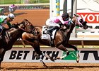 Appealing Tale gets the victory in the Pat O'Brien Stakes.