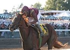 Delightful Joy Tops Turnback the Alarm 'Cap Delightful Joy Tops Turnback the Alarm 'Cap
