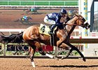 Taris captured Rancho Bernardo Stakes in August at Del Mar