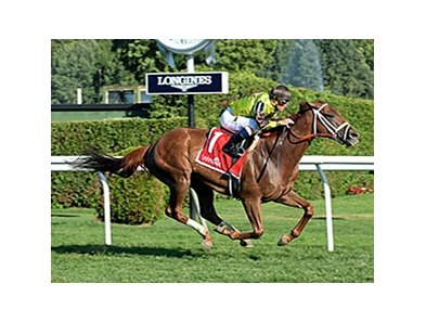 Bowling Green winner Red Rifle.<br><a target="blank" href="http://photos.bloodhorse.com/AtTheRaces-1/At-the-Races-2015/i-zBXW4Sf">Order This Photo</a>