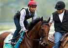 Terranova Barn Prepares to Welcome 'Pharoah' Terranova Barn Prepares to Welcome 'Pharoah'