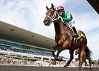 Shogood rolls to victory in the Arlington-Washington Futurity.