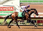 Promising Youth on Display in Futurity Promising Youth on Display in Futurity