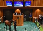 Proud Citizen Filly Brings $220,000 at F-T Proud Citizen Filly Brings $220,000 at F-T