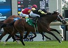 Interpol wins the Sky Classic Stakes.