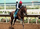 American Pharoah works at Del Mar August 23, 2015.