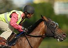 Danish Dynaformer Tries Top Level at Woodbine Danish Dynaformer Tries Top Level at Woodbine