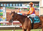 Pedigree Analysis: Beholder Pedigree Analysis: Beholder