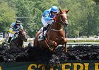 Divine Fortune