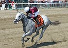 Just Wicked heads a field of eight 2-year-old fillies for the Pocahontas.<br><a target="blank" href="http://photos.bloodhorse.com/AtTheRaces-1/At-the-Races-2015/i-H7g4P3q">Order This Photo</a>