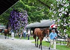 Fasig-Tipton Saratoga Sale Hopeful of Gains Fasig-Tipton Saratoga Sale Hopeful of Gains