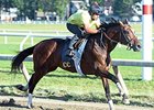 Tonalist, Noble Bird Among Whitney Workers Tonalist, Noble Bird Among Whitney Workers
