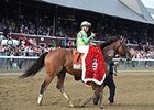 Keen Ice after winning the Travers Stakes.