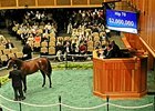 Fasig-Tipton Saratoga Day 1 Wrap Fasig-Tipton Saratoga Day 1 Wrap