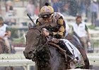 Watsdachances Put Up in Beverly D. Stakes Watsdachances Put Up in Beverly D. Stakes