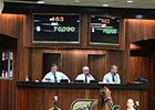 Hip 463, a Broken Vow filly named Morning Dance, commanded the highest price of the day, selling for $70,000.