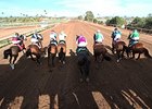 60th Season Set for Turf Paradise 60th Season Set for Turf Paradise