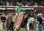 Honor Code<br><a target="blank" href="http://photos.bloodhorse.com/AtTheRaces-1/At-the-Races-2015/i-XDMZFMj">Order This Photo</a>