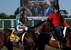 American Pharoah
<br><a target="blank" href="http://photos.bloodhorse.com/AtTheRaces-1/At-the-Races-2015/i-6TcjzbR">Order This Photo</a>