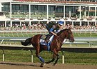 American Pharoah at Monmouth Park