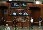 Hip 214, a filly by Arch, brought $320,000 to top the select portion of the sale.