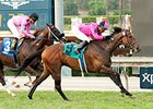 Alert Bay wins the City of Hope Stakes.