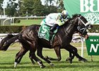 Isotherm to Return to Turf in Dania Beach Isotherm to Return to Turf in Dania Beach