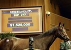 A $1,525,000 Distorted Humor colt brought the highest price Tuesday.