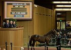 Hip 495, a colt by War Front, brought $1,150,000.