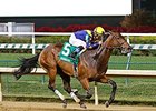 Super Majesty streaks to the win in the Dogwood Stakes.
