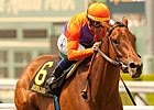 Featured Horse Profile: Beholder Featured Horse Profile: Beholder
