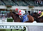 Big Blue Kitten<br><a target="blank" href="http://photos.bloodhorse.com/AtTheRaces-1/At-the-Races-2015/i-bBr">Order This Photo</a>