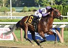 Grade 1 Winner Ralis Retired From Racing Grade 1 Winner Ralis Retired From Racing