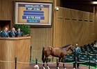 Hip 3164 by Colonel John sold for $170,000.