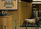 Hip 759, a filly by Tapit, brought $475,000 on Sept. 18 at the Keeneland September yearling sale.