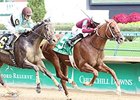 Tapiture comes home strong to win the Ack Ack Handicap.