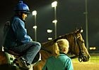 OTTB Spotlight: Miss Fifty OTTB Spotlight: Miss Fifty