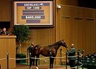 Hip 1356, a colt by Mineshaft, sold for $485,000 to top the session.