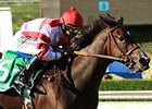 Songbird