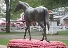 Saratoga Diary: Pink and Rosie Saratoga Diary: Pink and Rosie