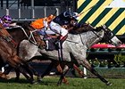 Fawkner fights for the win in the Makybe Diva Stakes.