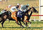 She's Not Here wins the Yellow Ribbon Handicap.